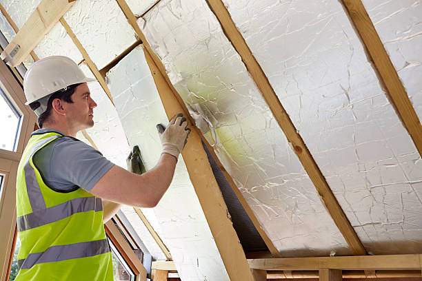 Best Insulation for Specific Applications in Elkins Rk, PA