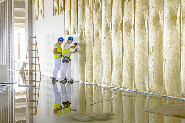 Best Types of Insulation in Elkins Rk, PA